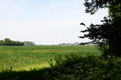 Polder van VVV Biesboschlinie