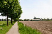 Polder van VVV Biesboschlinie