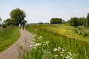 Fietsers van VVV Biesboschlinie