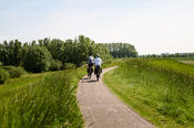 Fietsers van VVV Biesboschlinie