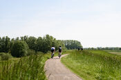 Fietsers van VVV Biesboschlinie