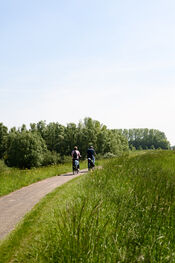 Fietsers van VVV Biesboschlinie