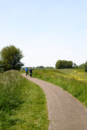 Fietsers van VVV Biesboschlinie