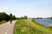 Fietsen over de dijk van VVV Biesboschlinie