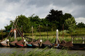 Boten in de haven van Woudrichem van VVV Biesboschlinie