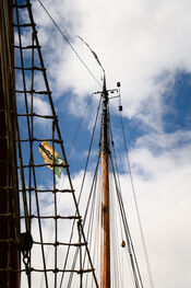 Boot van VVV Biesboschlinie