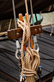 Boot van VVV Biesboschlinie