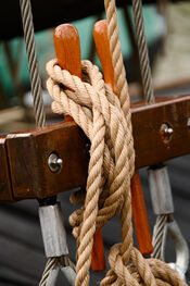 Boot van VVV Biesboschlinie