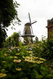 Molen Woudrichem van VVV Biesboschlinie