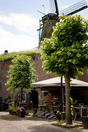 Terras Brasserie Zus van VVV Biesboschlinie