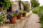 Vesting Woudrichem van VVV Biesboschlinie