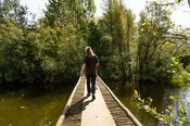 Wandelen in de Struikwaard van VVV Biesboschlinie