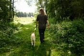 Wandelen in de Struikwaard van VVV Biesboschlinie
