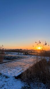 Kornsche boezem van VVV Biesboschlinie