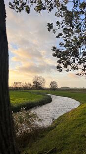 Natuur van VVV Biesboschlinie