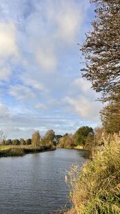 Natuur van VVV Biesboschlinie