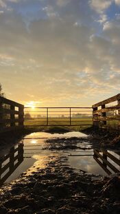 Wijkerzand van VVV Biesboschlinie