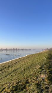Natuur van VVV Biesboschlinie