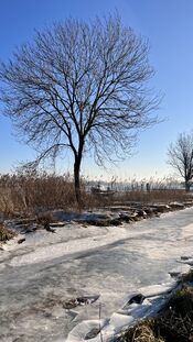 Winter van VVV Biesboschlinie