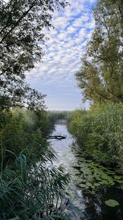 Oostwaardpad van VVV Biesboschlinie