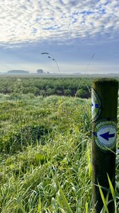 Oostwaardpad van VVV Biesboschlinie
