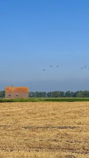 Oostwaardpad van VVV Biesboschlinie