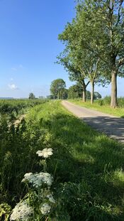 Oostwaardpad van VVV Biesboschlinie