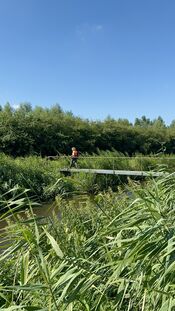 Oostwaardpad van VVV Biesboschlinie
