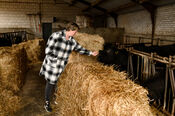 Koe bij Black Angus Farm van VVV Biesboschlinie