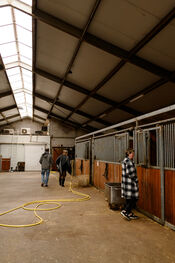 Stallen Black Angus Farm van VVV Biesboschlinie