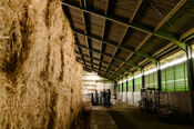 Black Angus Farm van VVV Biesboschlinie