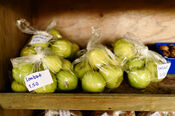 Appels bij Boerderij Den Hill van VVV Biesboschlinie