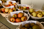 Appels bij Boerderij Den Hill van VVV Biesboschlinie