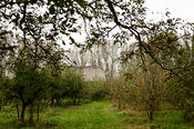 Boerderij Den Hill van VVV Biesboschlinie