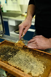 The Honeybin van VVV Biesboschlinie