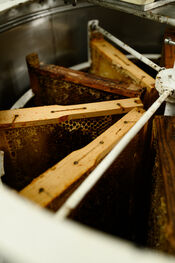 The Honeybin van VVV Biesboschlinie