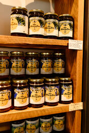 The Honeybin van VVV Biesboschlinie