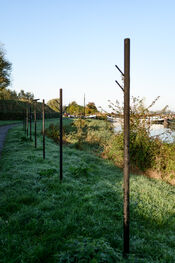 Woudrichem van VVV Biesboschlinie