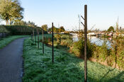 Woudrichem van VVV Biesboschlinie
