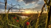 B&B Babylonia van VVV Biesboschlinie