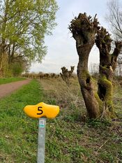 Klompje Kabouterroute Almbos van VVV Biesboschlinie