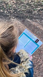 Kabouterroute Almbos van VVV Biesboschlinie