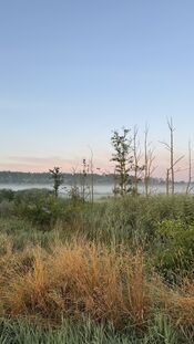 Pompveld van VVV Biesboschlinie