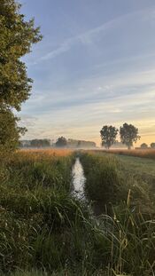 Pompveld van VVV Biesboschlinie