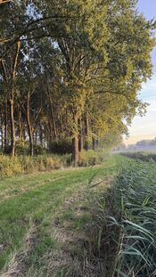 Pompveld van VVV Biesboschlinie