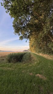 Pompveld van VVV Biesboschlinie