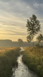 Pompveld van VVV Biesboschlinie