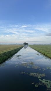 Pompveld van VVV Biesboschlinie