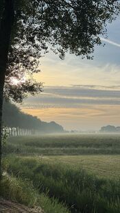 Pompveld van VVV Biesboschlinie