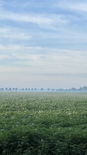 Pompveld van VVV Biesboschlinie